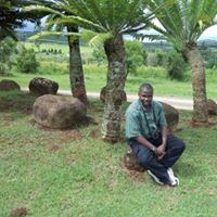 Mr Gift Kamanga Thole