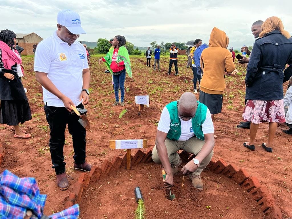 Tree planting has become a highly collaborative event in Inkosi Mzikubola’s area