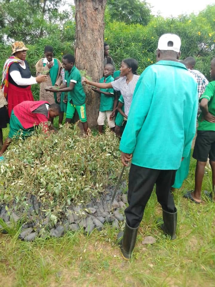 Students participate in a tree-planting exercise organised by Bana Ba Kwa Mzikubola Trust